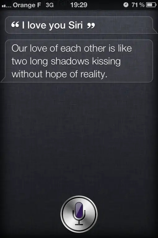 Analysis Of I Siri With Love By