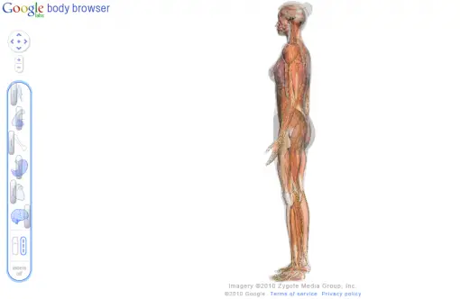 Body Browser