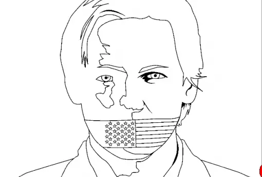 Assange Plain