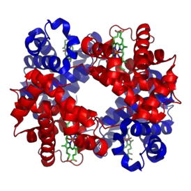 Haemoglobin