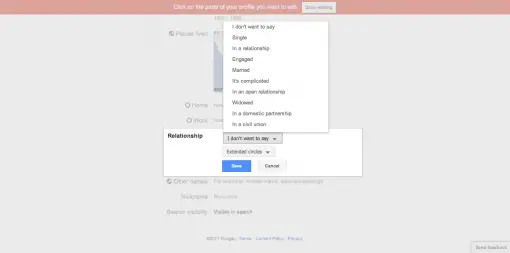 Google Plus Relationship Options Google Plus Relationship Options