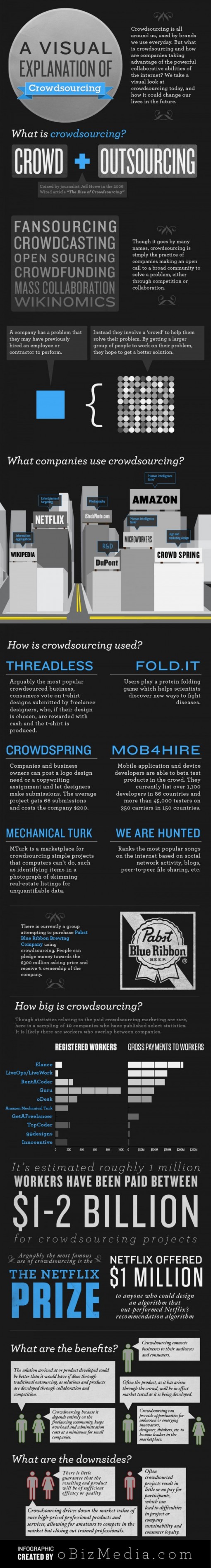 Crowdsourcing Infographic