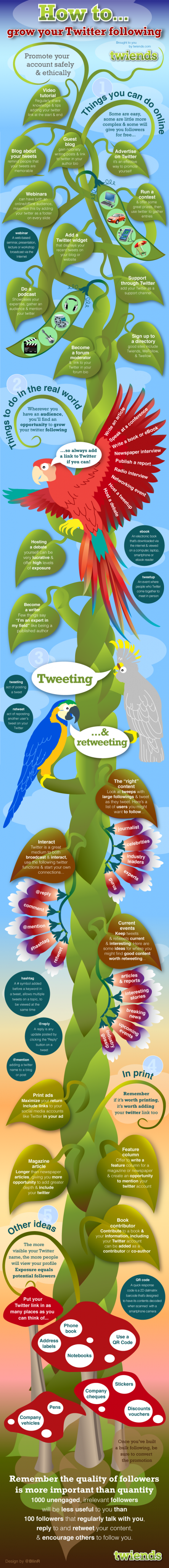 Twitter Infographic