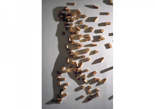 13-BUILDING-BLOCKS Shadow Art