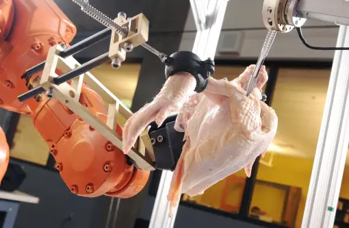 Intelligent Cutting and Deboning System Poultry Deboning Robot